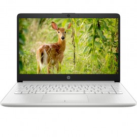 Laptop HP 14s-cf2527TU 4K4A1PA ( 14